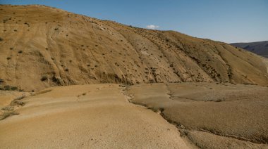 Altay Dağları'nın vahşi doğa
