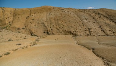 Altay Dağları'nın vahşi doğa