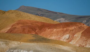 Altay Dağları'nın vahşi doğa
