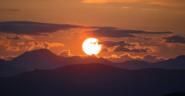 Altay Dağları'nın vahşi doğa
