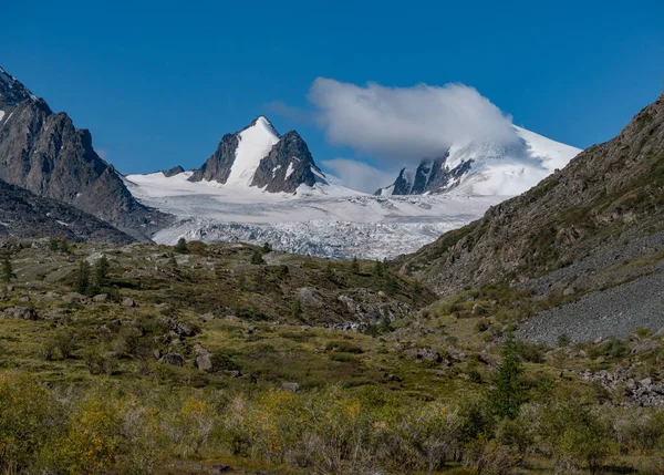 Vilda Natur Altajbergen — Stockfoto