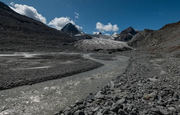 Altay Dağları'nın vahşi doğa