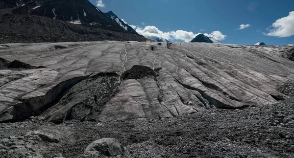 Altay Dağları'nın vahşi doğa