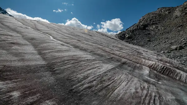 Altay Dağları'nın vahşi doğa