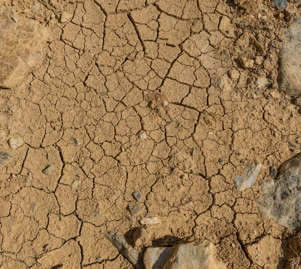 Naturaleza Salvaje Las Montañas Altai — Foto de Stock