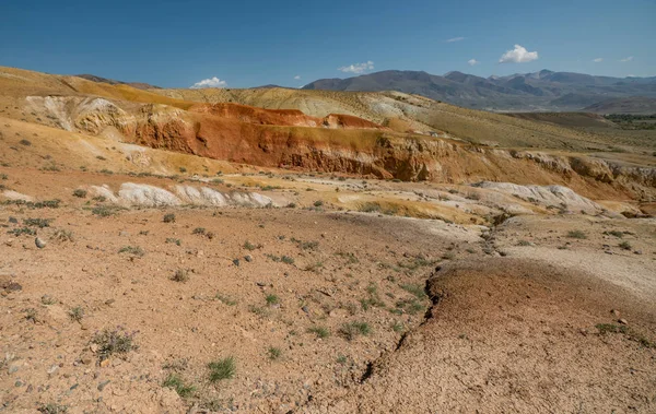 Altay Dağları'nın vahşi doğa