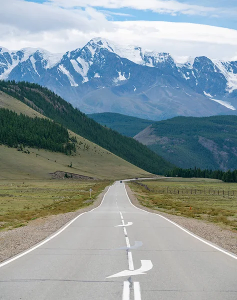 Altay bölgesi doğası