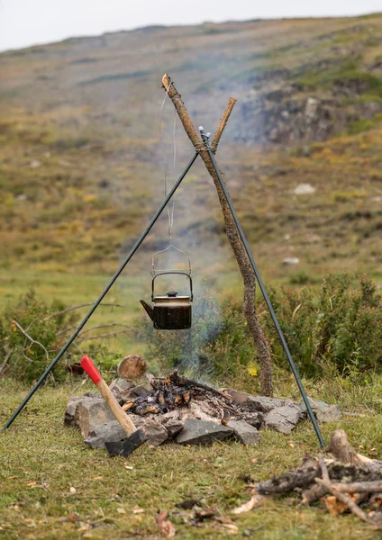 Voyage Dans Les Montagnes Altaï — Photo