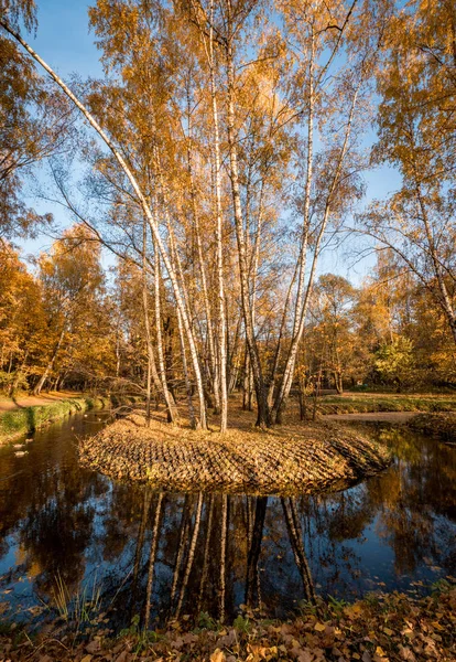 Beau Parc Automne Éclairé Par Soleil Lac — Photo