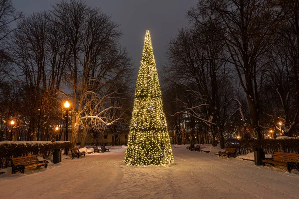 Parkta parlak Noel ağacı