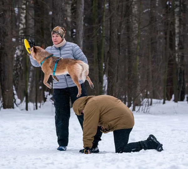 the woman throws and the dog catches in the jump from the back men yellow disc