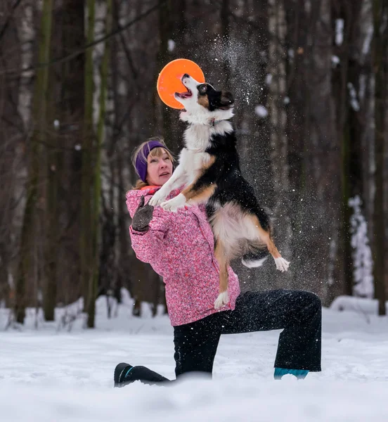 ボーダーコリー犬と雪の中でフリスビーを再生少女 — ストック写真