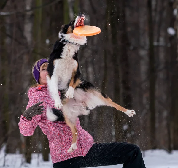 Ragazza Giocare Frisbee Nella Neve Con Bordo Collie Cane — Foto Stock