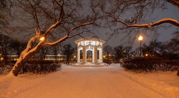 Bir kış gecesi Moskova'da Gorki Park