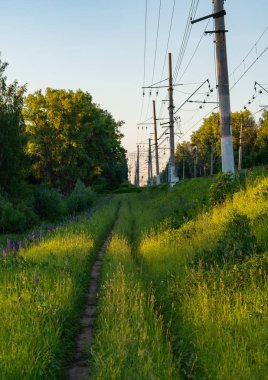 Gün batımında kırsal sevgilim