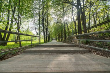 Parkta patikayı terk etmek