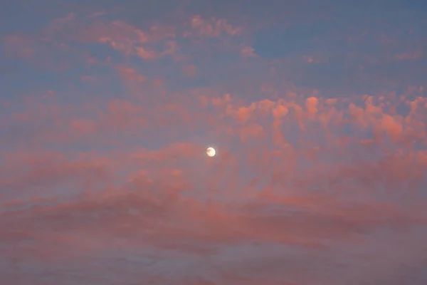 Луна Фоне Облаков Розового Заката — стоковое фото