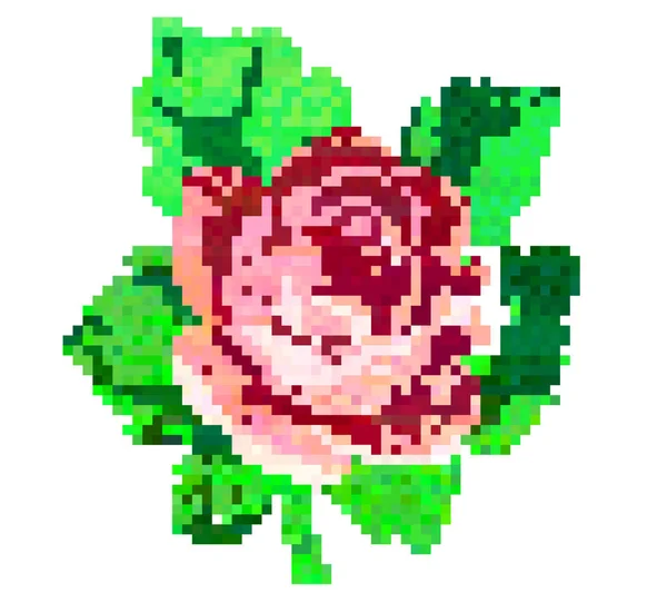 Rose - mozaik tasarımı.