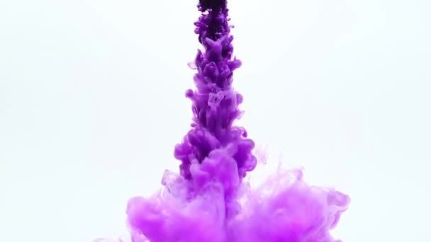 白い背景の上のきれいな水で明るい紫色インクの抽象的な動的フロー — ストック動画
