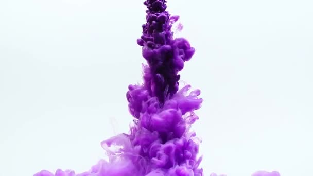 Purple Ink Drop Water White Background — Stock Video