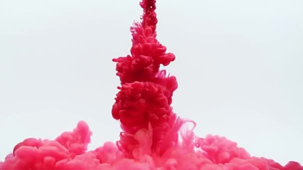 赤インクは 白で隔離水でインクの雲で渦巻きます 抽象的な動的フロー — ストック動画