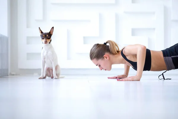 Фитнес Женщина Делает Упражнения Своей Собакой Фитнес Студии Упражнения Отжиманию — стоковое фото