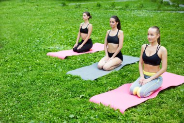 Grup kadın parkta yoga yapıyor. Meditasyon açık havada.