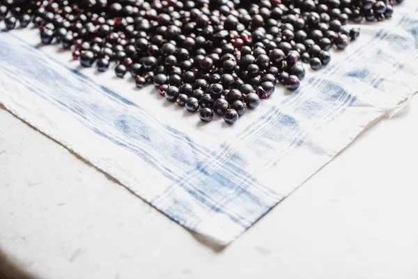 Récolter Les Cassis Sur Table Une Alimentation Saine — Photo