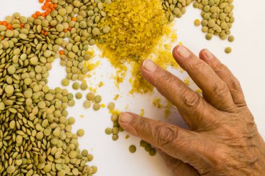 Yeşil mercimek içinde taş var mı diye eski el kontrol ediyor.