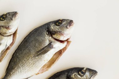  Üç, beyaz yüzeyde pişmemiş ve temizlenmiş deniz çipurası balığı, fotokopi alanı, üst görünüm