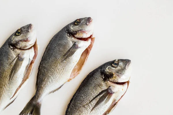 Tre Pesce Orata Crudo Pulito Superficie Bianca Con Spazio Copia — Foto Stock