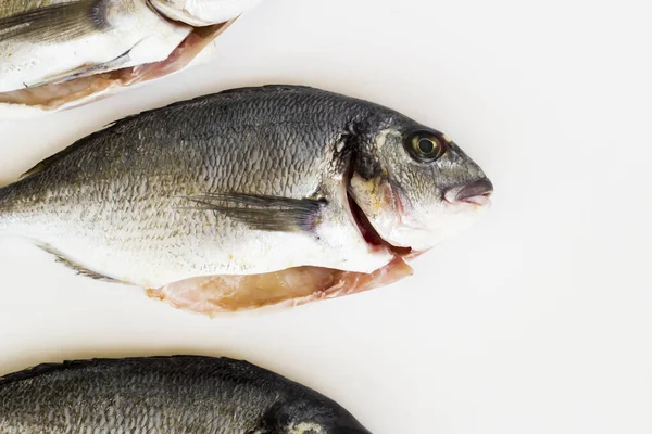 Tre Pesce Orata Crudo Pulito Superficie Bianca Con Spazio Copia — Foto Stock