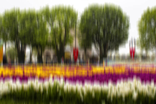 Тюльпаны и деревья с турецкими флагами города в размытом видении