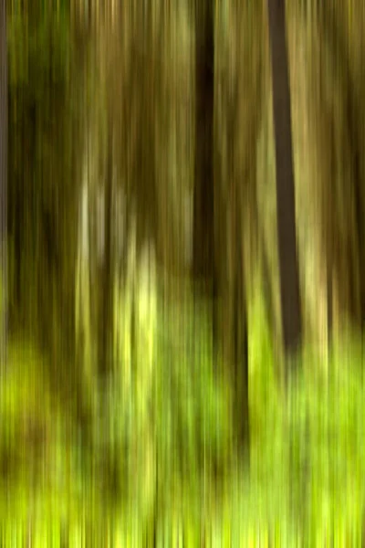 Осенние Сухие Листья Деревянном Фоне Размытое Зрение — стоковое фото
