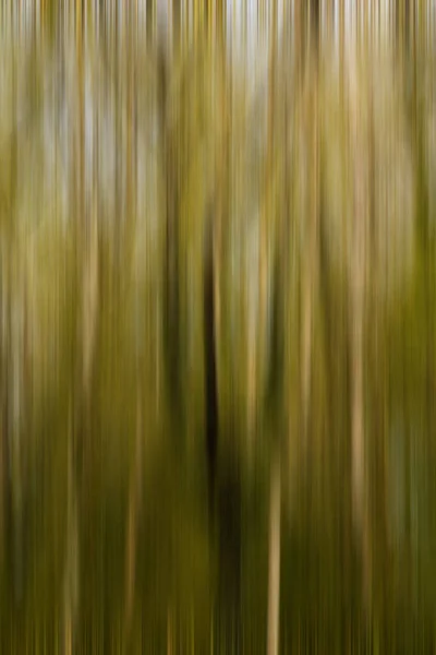 Motion Blurred Trees Forest Vertical Image — Stock Photo, Image
