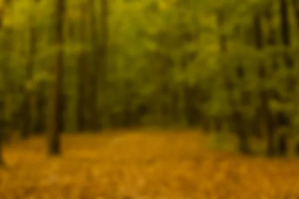 Tvar Rozmazaný Podzimního Lesa Pěšinou — Stock fotografie