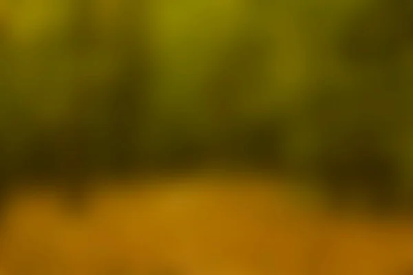 Moto Sfumato Toni Colore Autunnale Nella Foresta Immagine Astratta Sfondi — Foto Stock