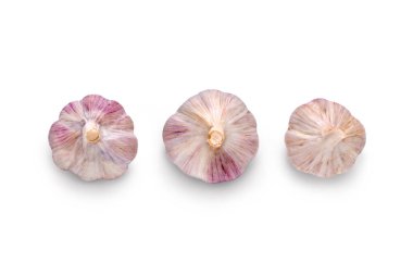 Beyaz bir arka plan karşı izole sarımsak ampul.