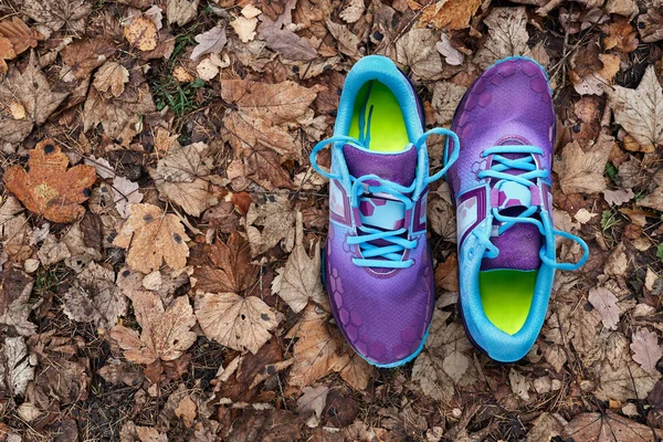 乾燥した葉の背景に青と紫のトレーナーのトップビュー — ストック写真