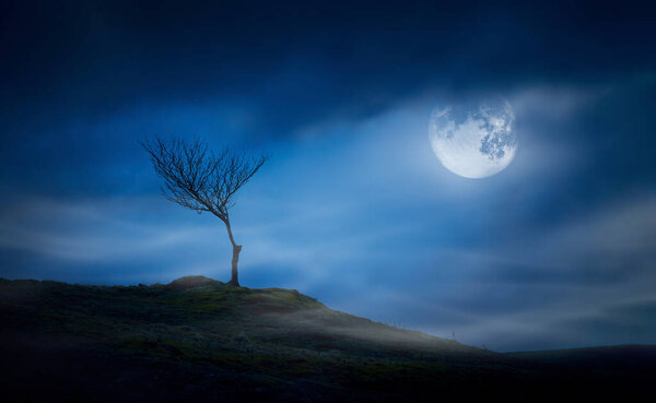 A halloween spooky lone bare branch tree in an isolated moors landscape at night with a full moon and clouds in a blue winter night sky.
