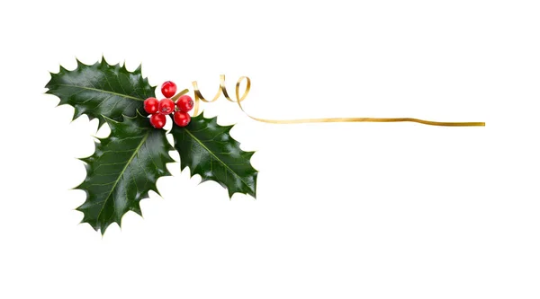 Sprig Three Leaves Green Holly Red Berries Gold Ribbon Christmas — Stock Photo, Image