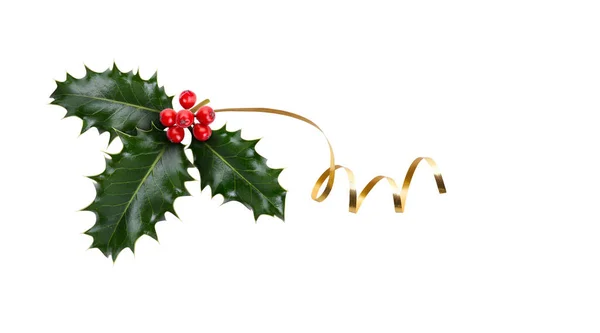 Sprig Three Leaves Green Holly Red Berries Gold Ribbon Christmas — Stock Photo, Image