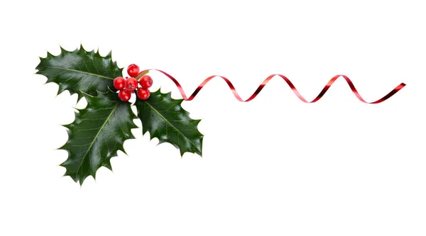 Sprig Three Leaves Green Holly Red Berries Red Ribbon Christmas — Stock Photo, Image