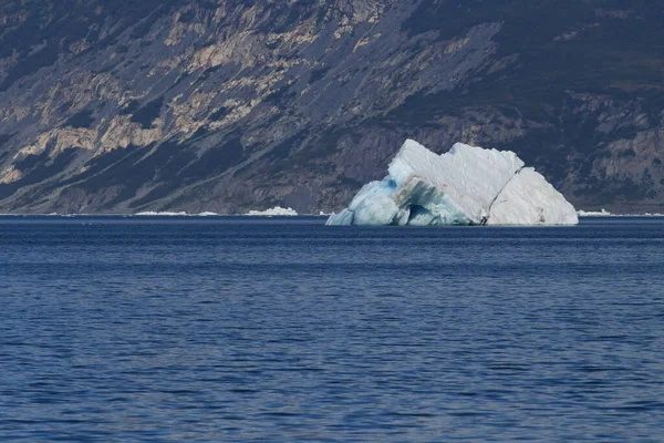 Eis Und Eisberge Der Umgebung Des Columbia Glacier Columbia Bay — Stockfoto