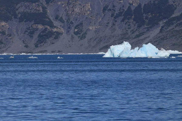 Ghiaccio Iceberg Nell Ambiente Del Ghiacciaio Columbia Columbia Bay Valdez — Foto Stock