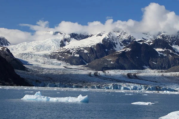 Góry Lodowe Lodowe Otoczeniu Lodowca Columbia Zatoki Columbia Valdez Alaski — Zdjęcie stockowe