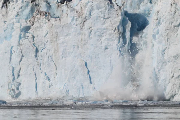 Jég Jéghegyek Columbia Gleccser Columbia Bay Valdez Alaszka Környezetében — Stock Fotó