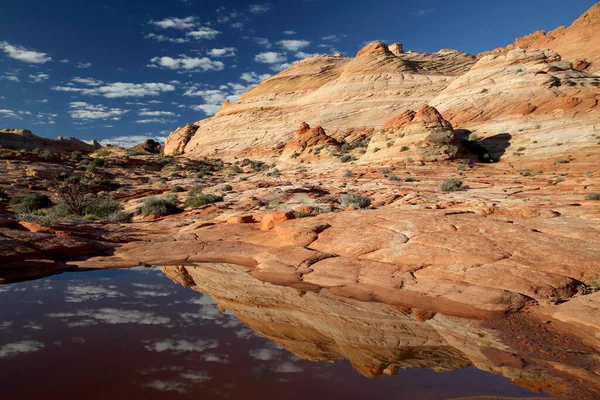 Rock Formations North Coyote Buttes Part Vermilion Cliffs National Monument — Stok fotoğraf