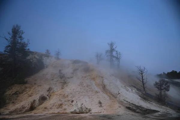 Travertine Terrace Mammoth Hot Springs Yellowstone National Park Wyoming — Stock Photo, Image