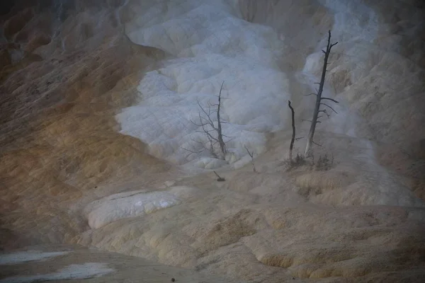 Травертина Террасе Mammoth Hot Springs Йеллоустонском Национальном Парке Штат Вайоминг — стоковое фото